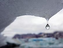 Nueva alerta sobre el deshielo del Ártico