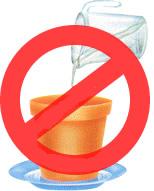 Inventan una maceta que no necesita agua o por lo menos en 6 meses