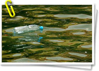 Aumenta mancha de basura flotante en el Atlántico 