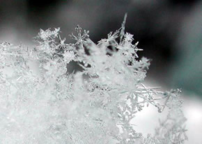 ¿Cómo se forma la nieve que cae durante el Invierno?