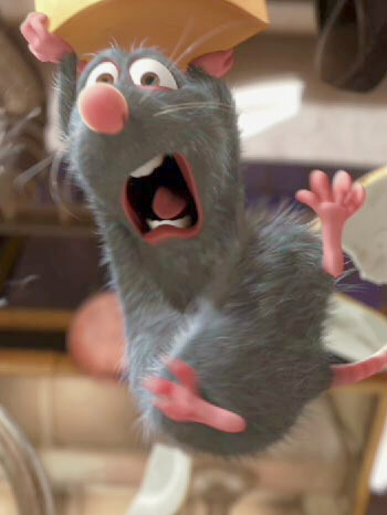 el cuento de la rata y sus seguidores