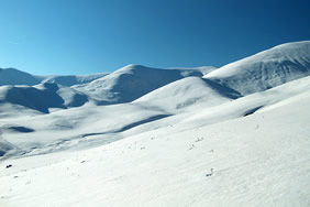 ¿Por qué la nieve es blanca?