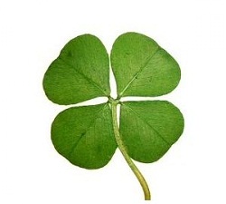 La suerte no viene sola! Comprobado con claridad!