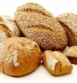 ¿Sabías que la fibra de los alimentos no se digiere en el cuerpo humano?