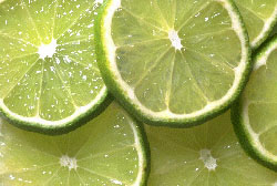 ¿Sabías que es posible hacer insecticida con limones?