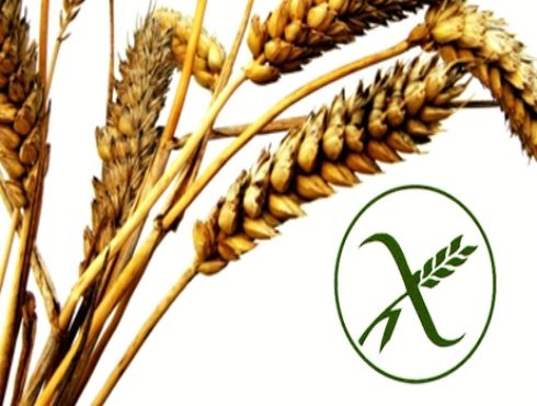 Investigadores Argentinos desarrollaron un método no invasivo para el diagnóstico de celíacos