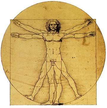 Detalles del cuerpo humano que desconoces