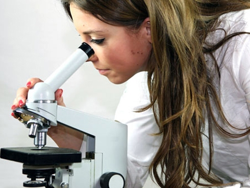 Premian a investigadora argentina