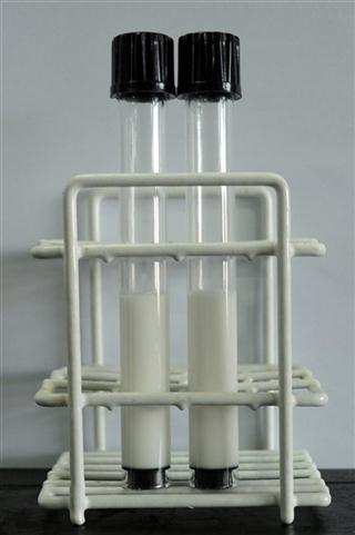 Un equipo de investigadores Argentinos desarrollaron grasas más saludables