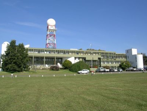 Técnicos Argentinos del INTA crearon una vacuna a partir de plantas transgénicas