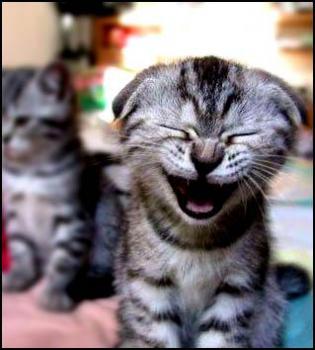 Lo mejor de youtube!