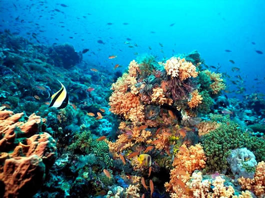 Te has preguntado: ‘Cuanto vale el mar?’