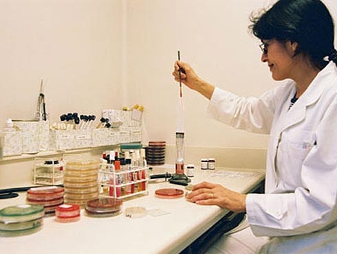 Investigadores Argentinos estudian la Terapia Fotodinámica para tratar el cáncer 