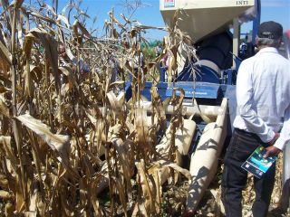 Diseñan y construyen íntegramente en la Argentina, una cosechadora de granos para pequeña escala