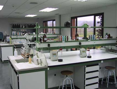 Investigadores Argentinos lograron prevenir afecciones oculares causadas por la diabetes