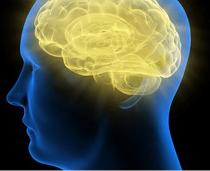 La gente distraída tiene ¨mucho cerebro¨