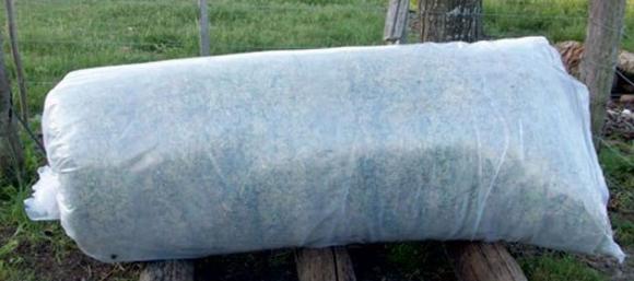 Tecnicos Argentinos del INTA desarrollan microsilos obteniendo así mayor producción y rentabilidad