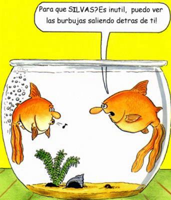 Imagenes graciosas e impactantes