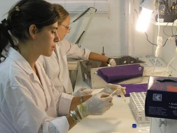 Ciencia Argentina :invierten en el combate contra la reproducción de células cancerosas