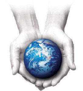 Ecologia y capitalismo :: contradiccion vital