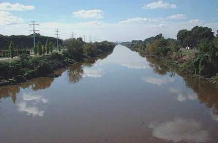 BIORREMEDIACIÓN - Procesos para sanear aguas contaminadas