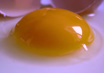 ¿Sabías que la yema de huevo no es tan mala?