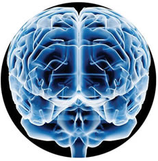 ¿Se pueden borrar los malos recuerdos de la mente?