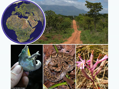 Un paraíso perdido, encontrado gracias a Google Earth