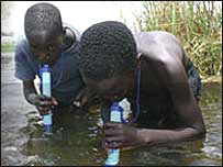 Caña que purifica el agua