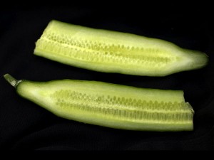 Alemania: ya son 15 los muertos y 1.400 los enfermos por el brote de Escherichia coli