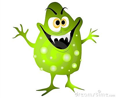 Las 10 especies más curiosas descubiertas este año