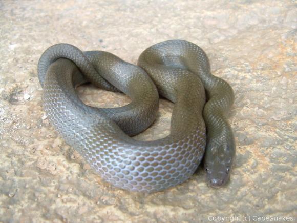 En India todos miran al suelo