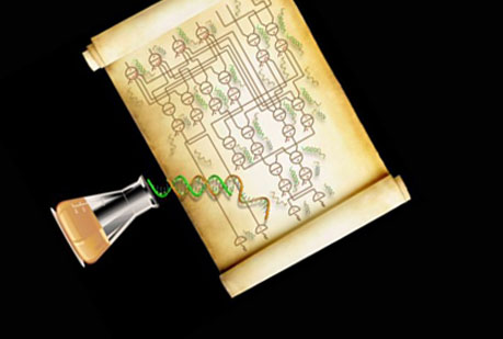 Circuitos con chips de ADN