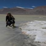 Secuencian por primera vez el genoma de un microorganismo que sobrevive en condiciones extremas 