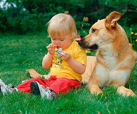 Los bebés entienden los ladridos de los perros