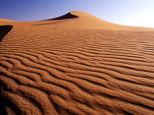 El mejor amigo de los arqueólogos es Google Earth