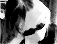 Música TV & Multimedia - Bandas de Sonido