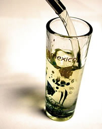 ¿Sabías que por cada litro de tequila se contaminan 10 litros de agua?