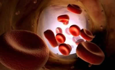 ¿Por qué la sangre es de ese color?