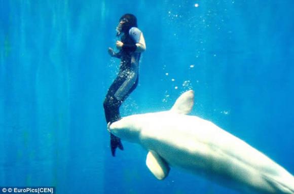Insólito – Salvada por una ballena beluga