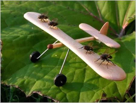 Aviones propulsados por moscas