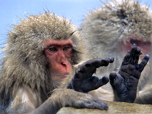  El envejecimiento nos afecta a todos por igual