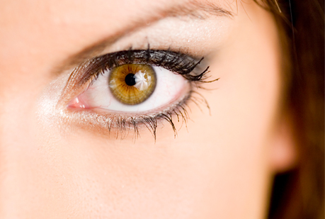 El ojo humano detecta el campo magnético terrestre