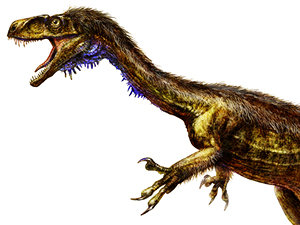 Descubren al tatarabuelo de los dinosaurios depredadores en Argentina