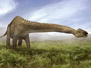 ¿Por qué algunos dinosaurios tenían el cuello largo?