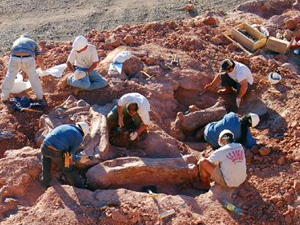 Hallan un dinosaurio en una perforación petrolera