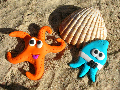 Las estrellas de mar más hermosas del planeta