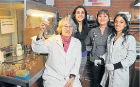 Cientificos Argentinos hallan una proteína que tendría múltiples aplicaciones‏