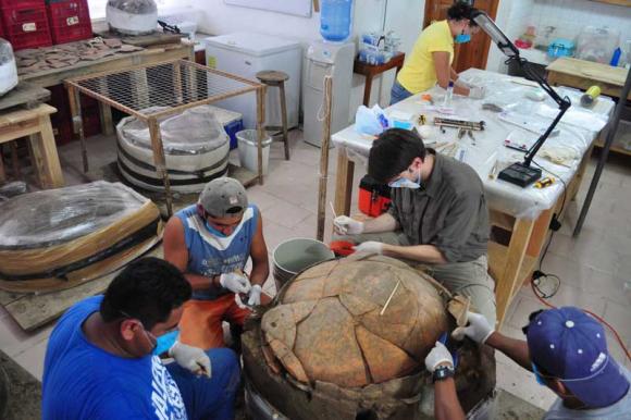 Cementerio maya con más de 1,000 años