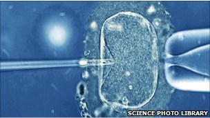 Crean prueba no invasiva de trastornos genéticos en embriones  